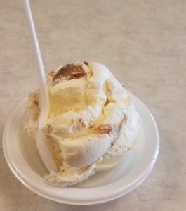 Single scoop of Lapp Valley Farm ice cream in a dish