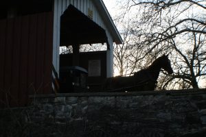 horse and buggy coming through a lancaster county covered bridge