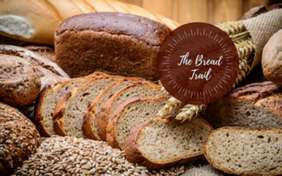 Homemade Bread – Part 1